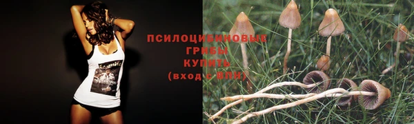 мяу мяу кристалл Белокуриха